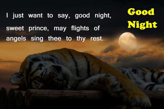 Download Best Good Night Images HD