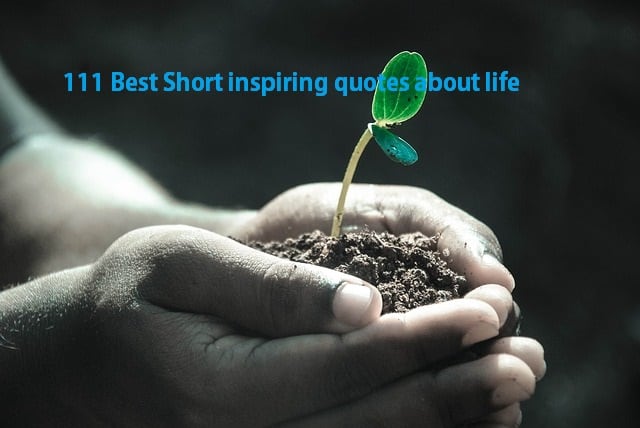 111 Best Short inspiring quotes about life
